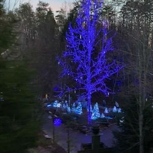 Meet your Posher, Deanna